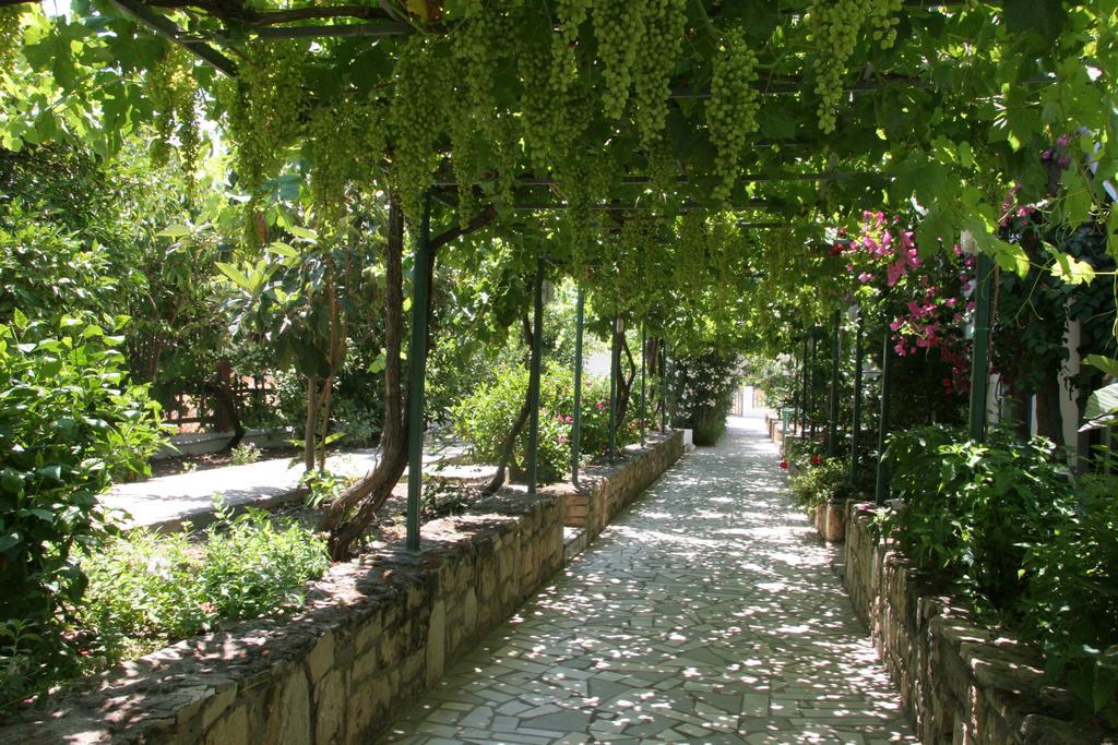 Armonia Hotel Matala Dış mekan fotoğraf