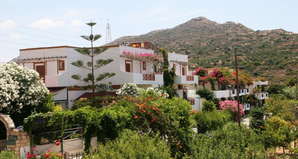 Armonia Hotel Matala Dış mekan fotoğraf